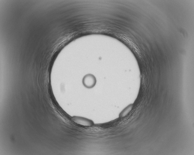 X0000115780397200912111131