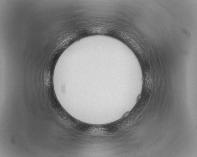 X0000115780403200912111131