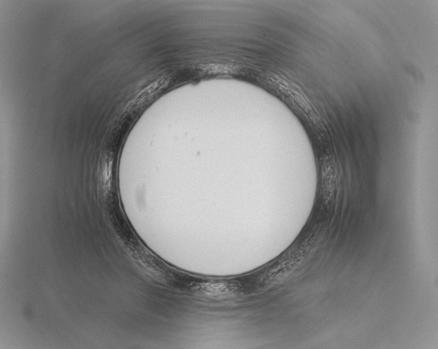 X0000115780406200912111131