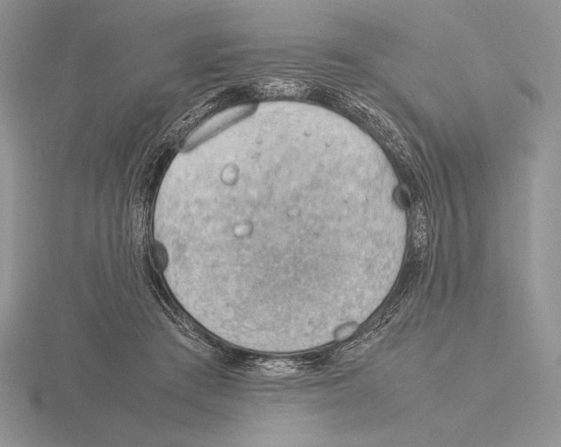 X0000115780409200912111131