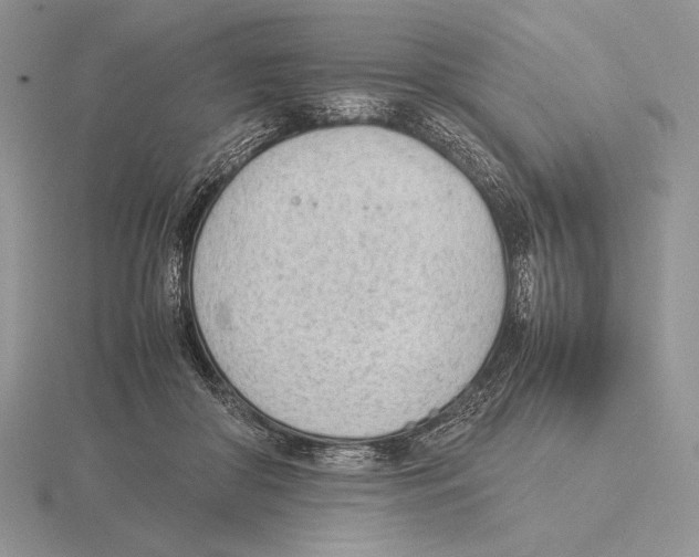 X0000115780410200912111131