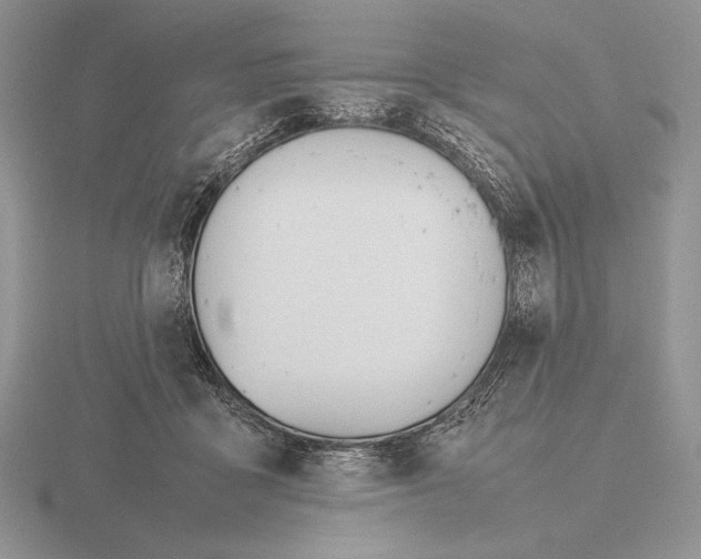 X0000115780411200912111131