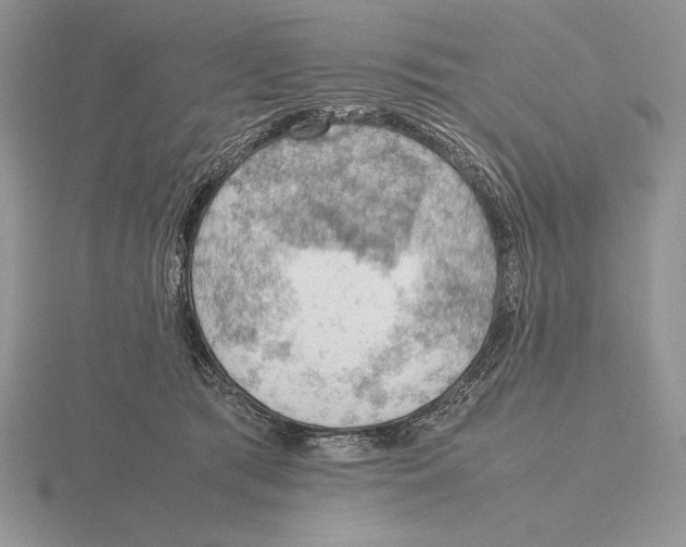 X0000115780417200912111131