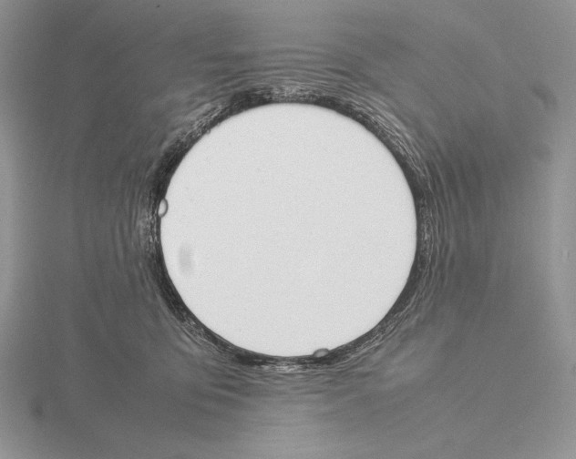 X0000115780419200912111131