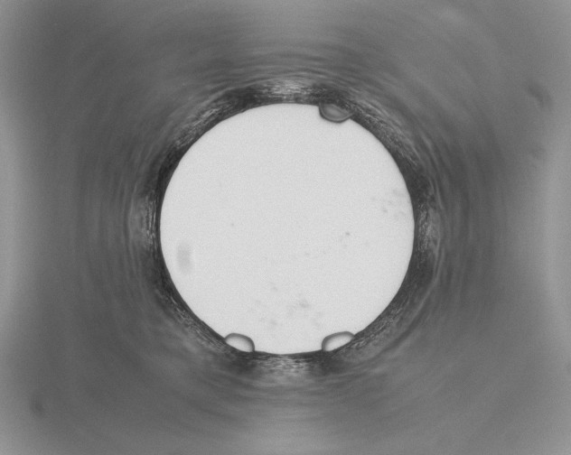 X0000115780421200912111131