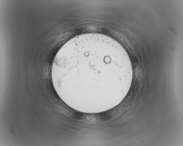 X0000115780423200912111131