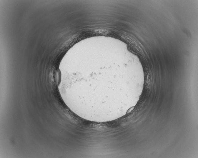 X0000115780424200912111131