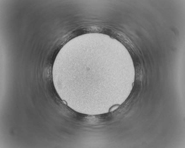 X0000115780425200912111131