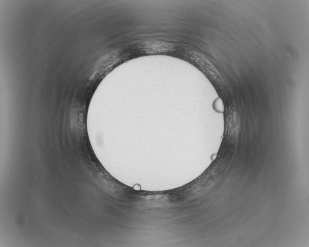 X0000115780426200912111131