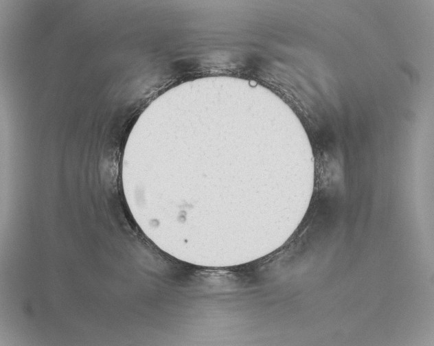 X0000115780427200912111131