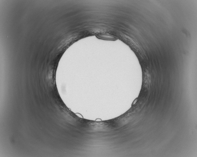 X0000115780428200912111131