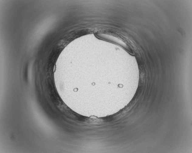 X0000115780429200912111131