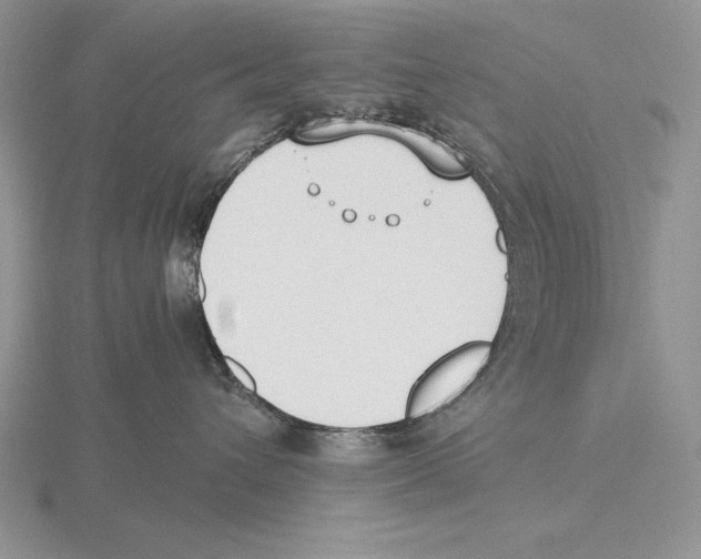 X0000115780432200912111131