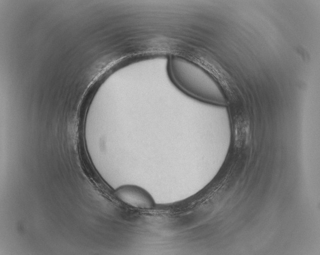 X0000115780436200912111130