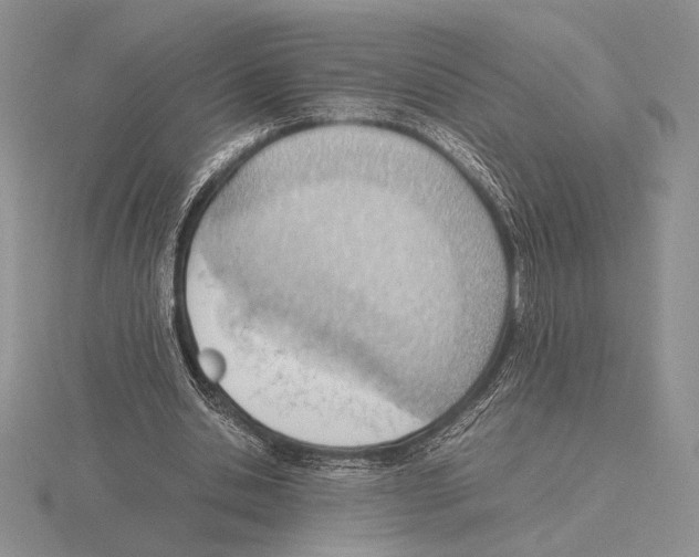 X0000115780438200912111130