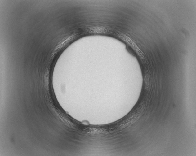 X0000115780442200912111130