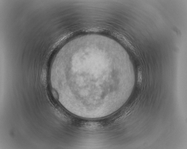 X0000115780444200912111130