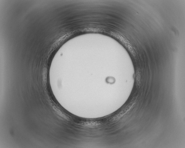 X0000115780445200912111130