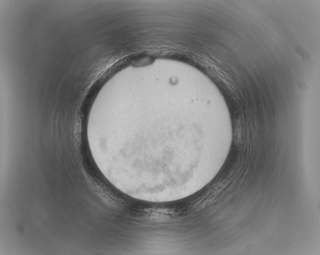 X0000115780448200912111130