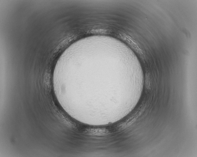 X0000115780449200912111130