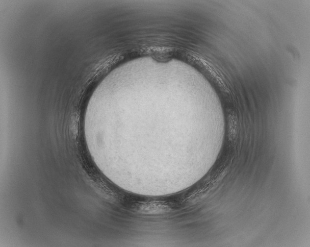 X0000115780451200912111130