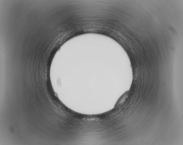 X0000115780452200912111130