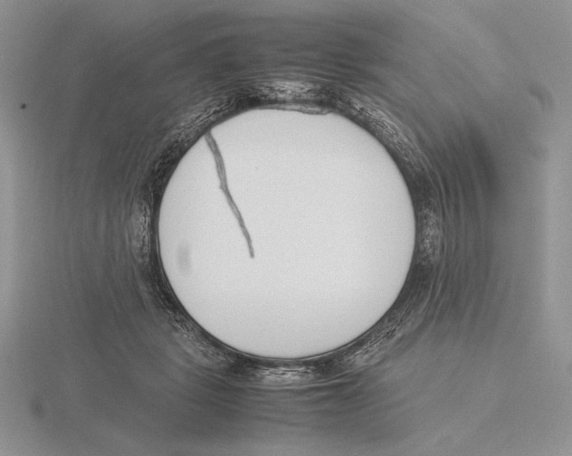 X0000115780461200912111130