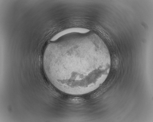 X0000115780467200912111131