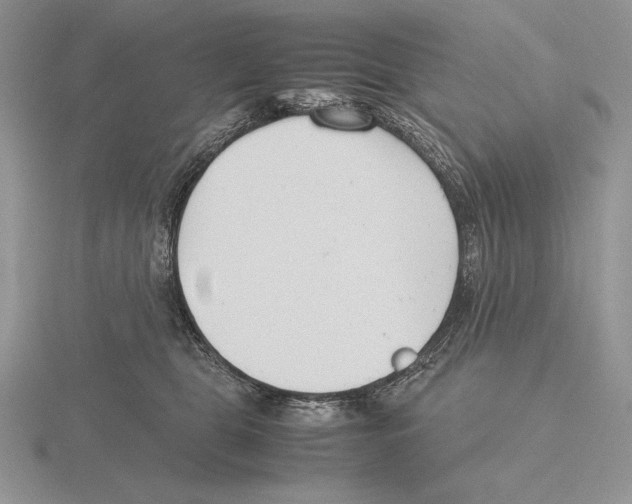 X0000115780469200912111131