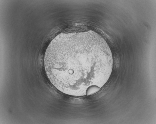 X0000115780475200912111131