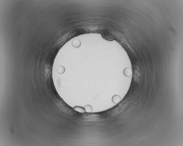 X0000115780476200912111131