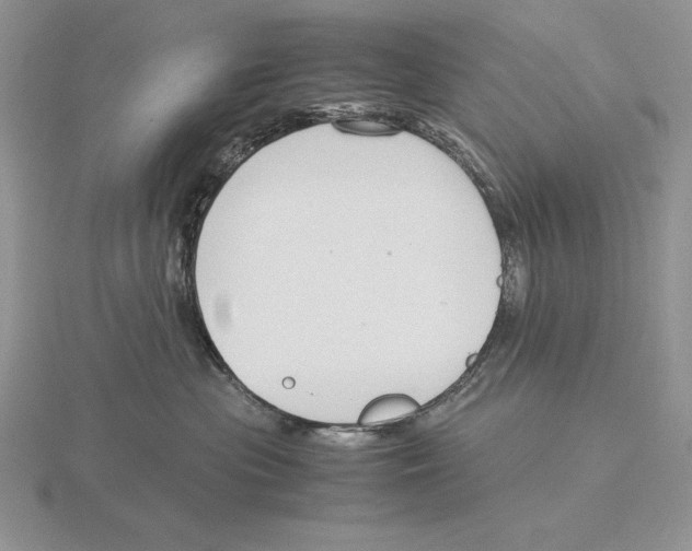 X0000115780477200912111131