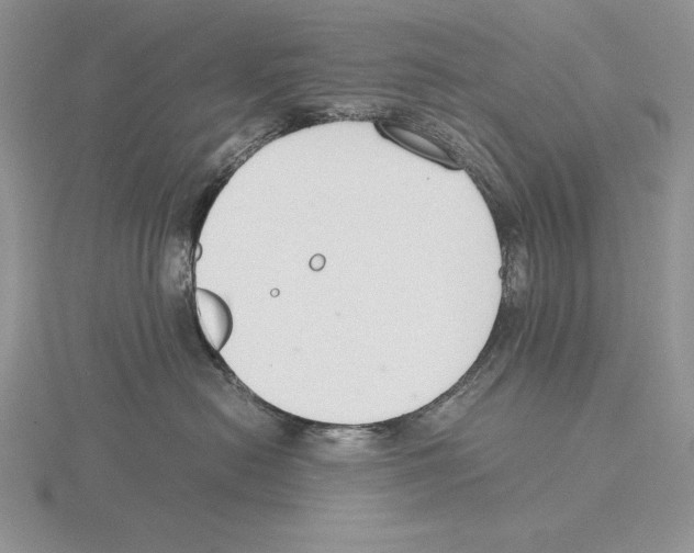 X0000115780478200912111131