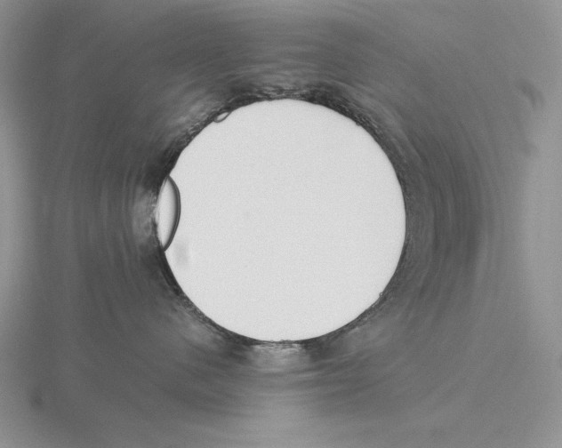 X0000115780480200912111131