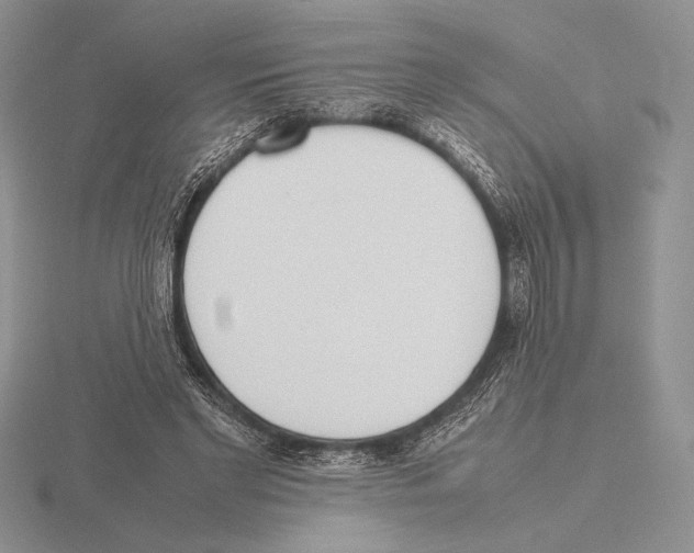 X0000115780493200912111130