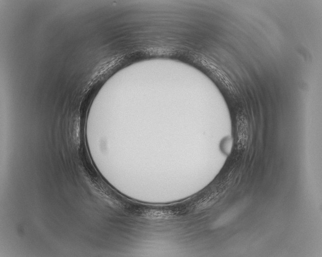 X0000115780494200912111130