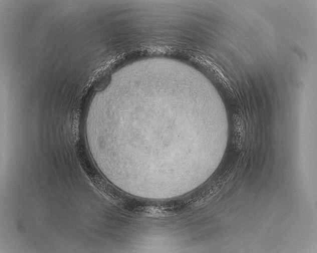 X0000115780496200912111130