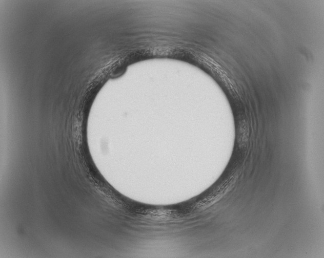 X0000115780497200912111130