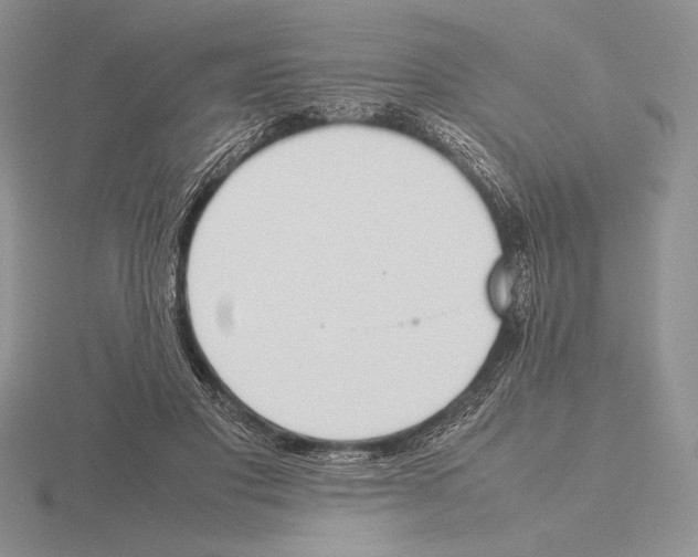 X0000115780501200912111130