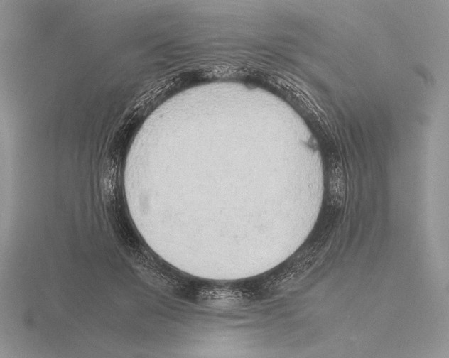 X0000115780503200912111130