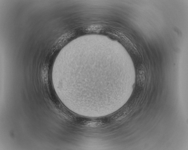 X0000115780504200912111130