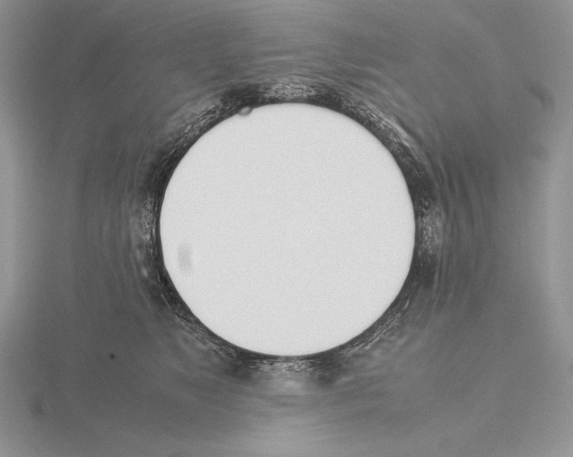 X0000115780517200912111130