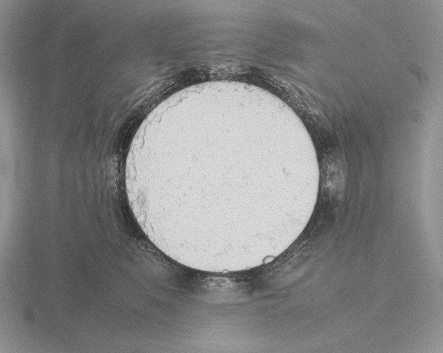 X0000115780519200912111130