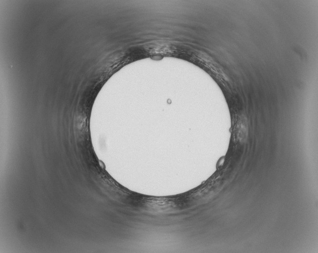 X0000115780521200912111129