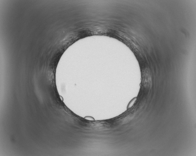 X0000115780523200912111129