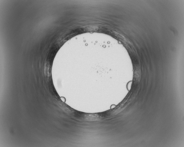 X0000115780525200912111129