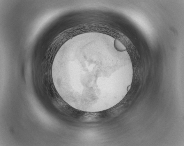 X0000115780526200912111129