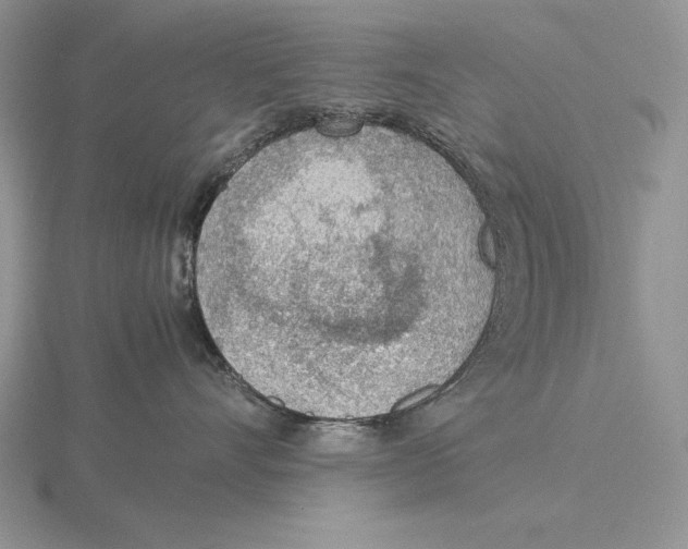 X0000115780528200912111129