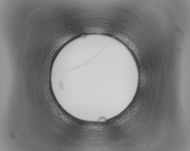 X0000115780529200912111129