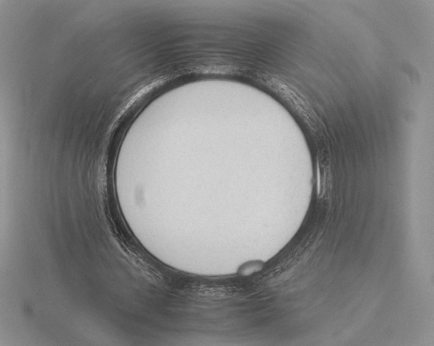 X0000115780531200912111129